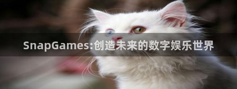 28大神官方网站手机版：SnapGames:创造未来的数字娱
