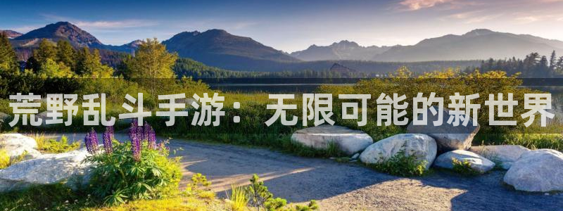 蓝图娱乐app官网下载：荒野乱斗手游：无限可能的新世界