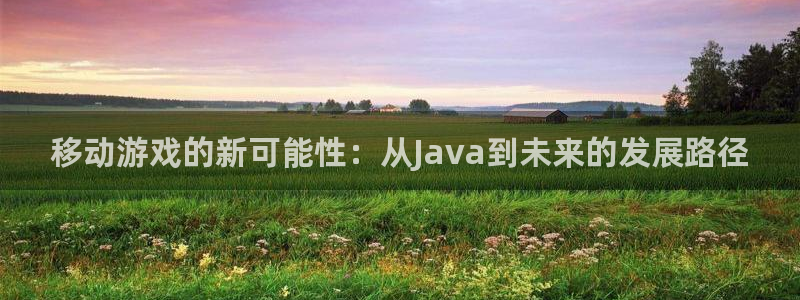 大神pc28开奖官网：移动游戏的新可能性：从Java到未来的