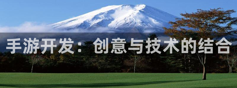 蓝图娱乐官方网站：手游开发：创意与技术的结合