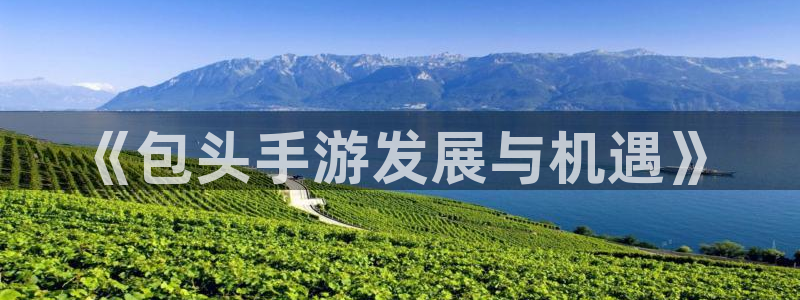 蓝图娱乐在线对子预测：《包头手游发展与机遇》