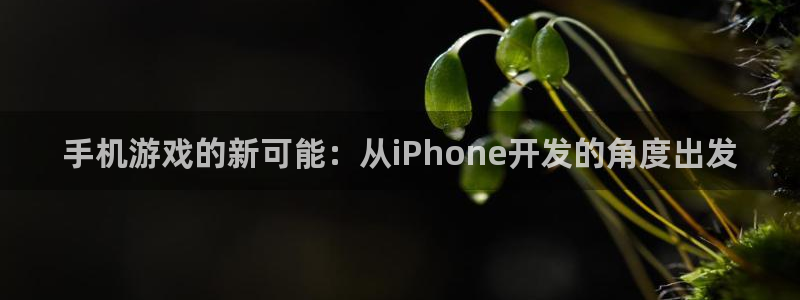 蓝图娱乐加拿大在线上分：手机游戏的新可能：从iPhone开发