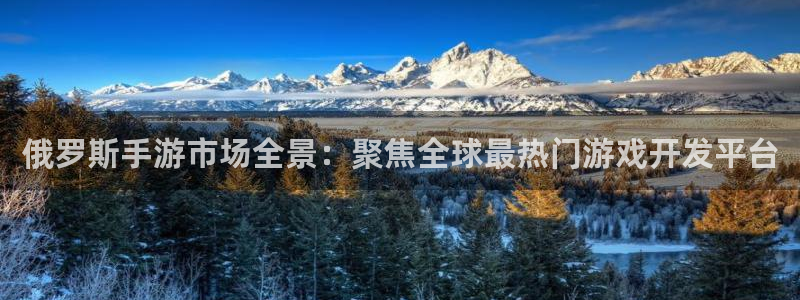 蓝图娱乐官网：俄罗斯手游市场全景：聚焦全球最热门游戏开发平台