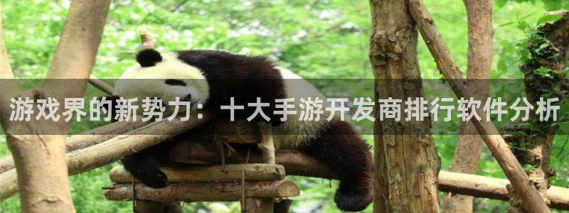 蓝图娱乐老版本的使用方法及注意事项：游戏界的新势力：十大手游