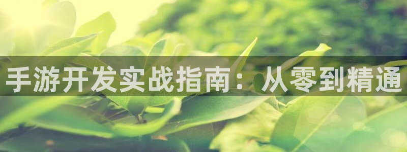 pc28大神苹果下载：手游开发实战指南：从零到精通