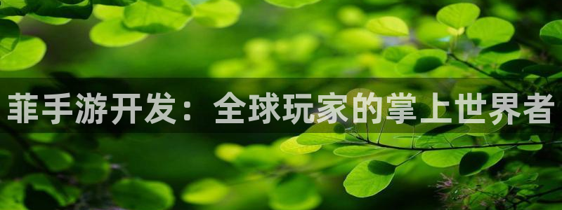 28大神ios下载：菲手游开发：全球玩家的掌上世界者