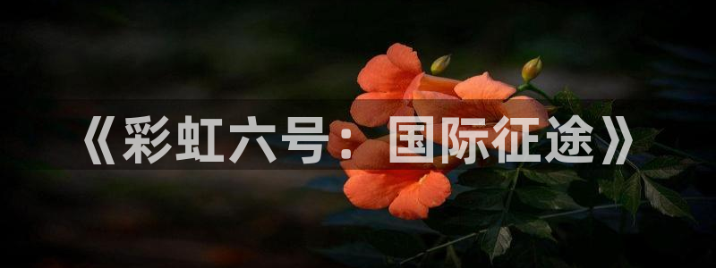 28大神网页：《彩虹六号：国际征途》