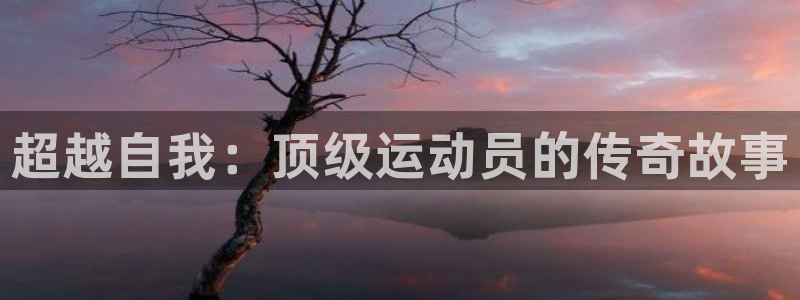 3377体育是正规平台吗：超越自我：顶级运动员的传奇故事