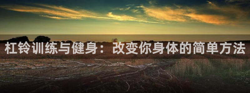 3377体育app官网下载地址：杠铃训练与健身：改变你身体的简单方法