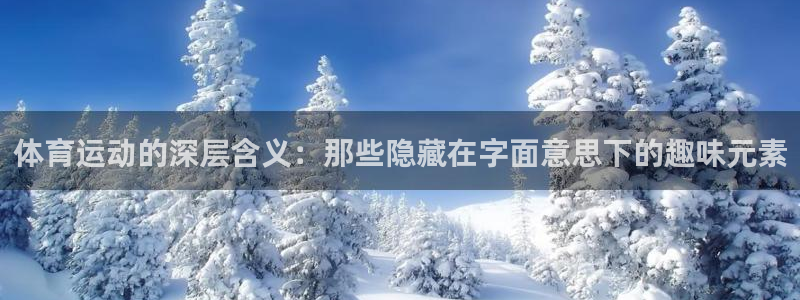 3377体育官网入口下载最新：体育运动的深层含义：那些隐藏在字面意思下的趣味元素