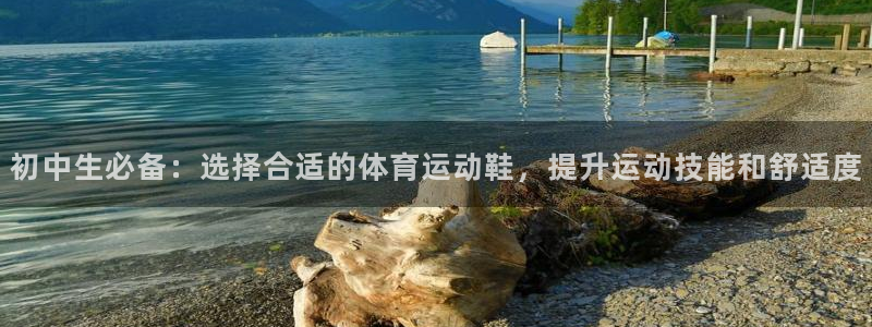 3377体育网页登录入口：初中生必备：选择合适的体育运动鞋，提升运动技能和舒适度