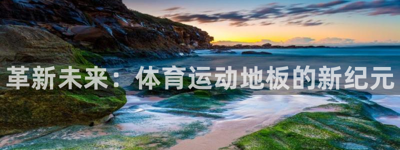 3377体育官方app下载：革新未来：体育运动地板的新纪元