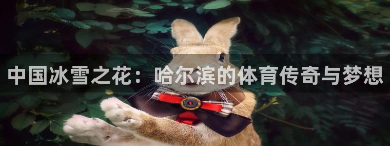 3377体育手机平台：中国冰雪之花：哈尔滨的体育传奇与梦想
