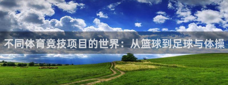 3377体育官网入口网页版：不同体育竞技项目的世界：从篮球到足球与体操